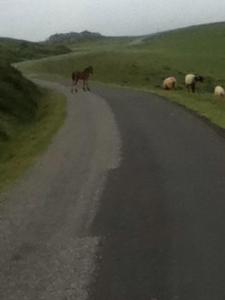 10487581_1446271748962961_5813784439699328018_n