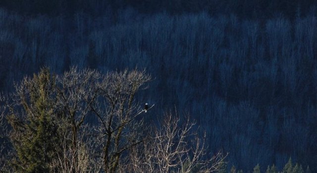 Photo prise par Simon Lalande et offerte à Marie