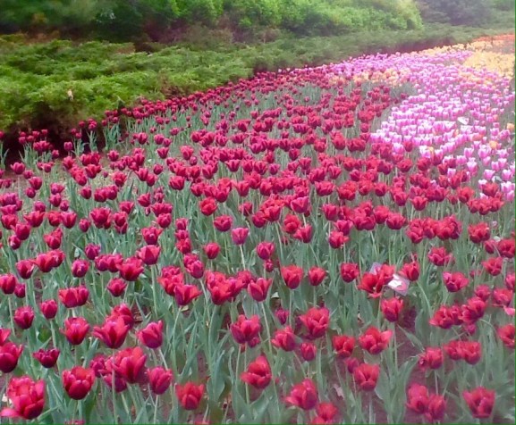 0110c81715eb214757fe56a92f7c2a8f18c4ff408d