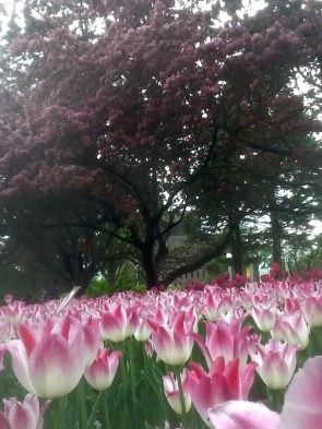 01be521564b82bf32f482622c632a2082c705e275e