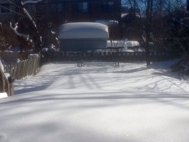 010b3141e6f8177c733609a4f7b74f6f1c52e77289